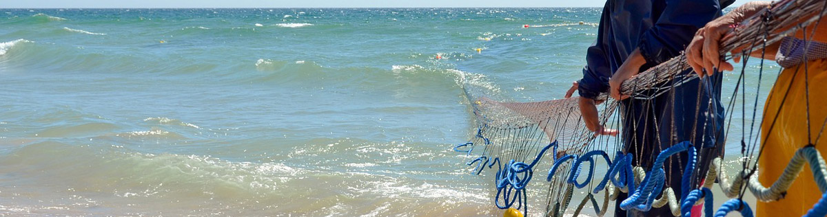 Preventing Seaweed on Cancun & Riviera Maya Beaches