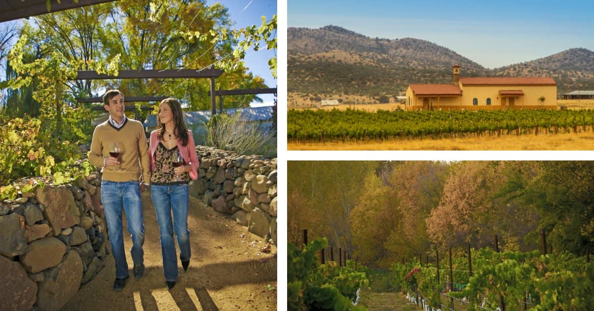 A Beginner's Guide to Vacationing in Arizona AMA Travel