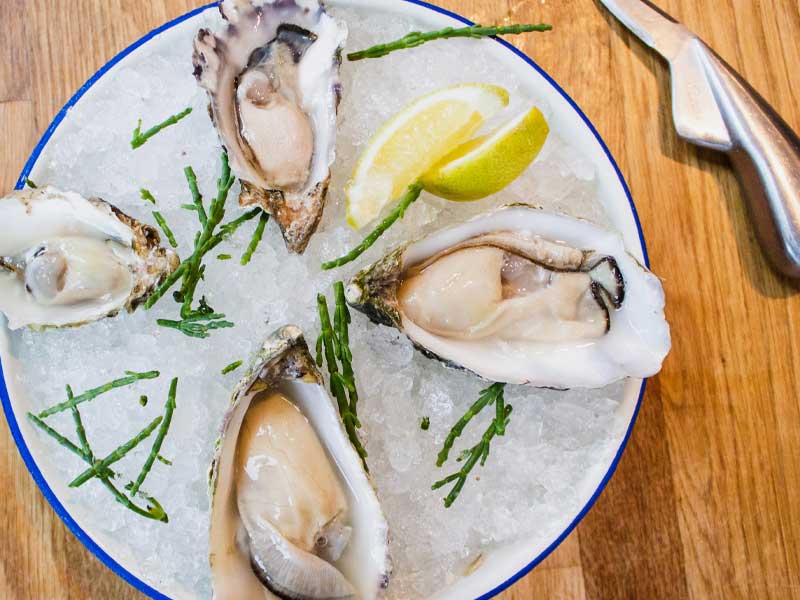 California Foodie Road Trip AMA Travel