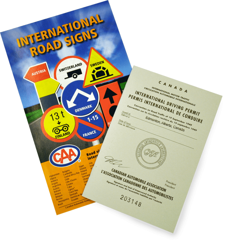 international drivers license template