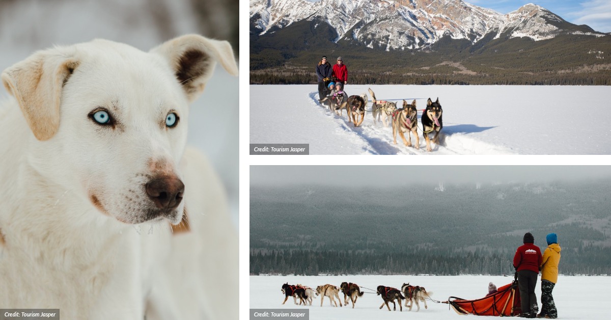 Jasper Winter Adventures off the Ski Hill AMA Travel