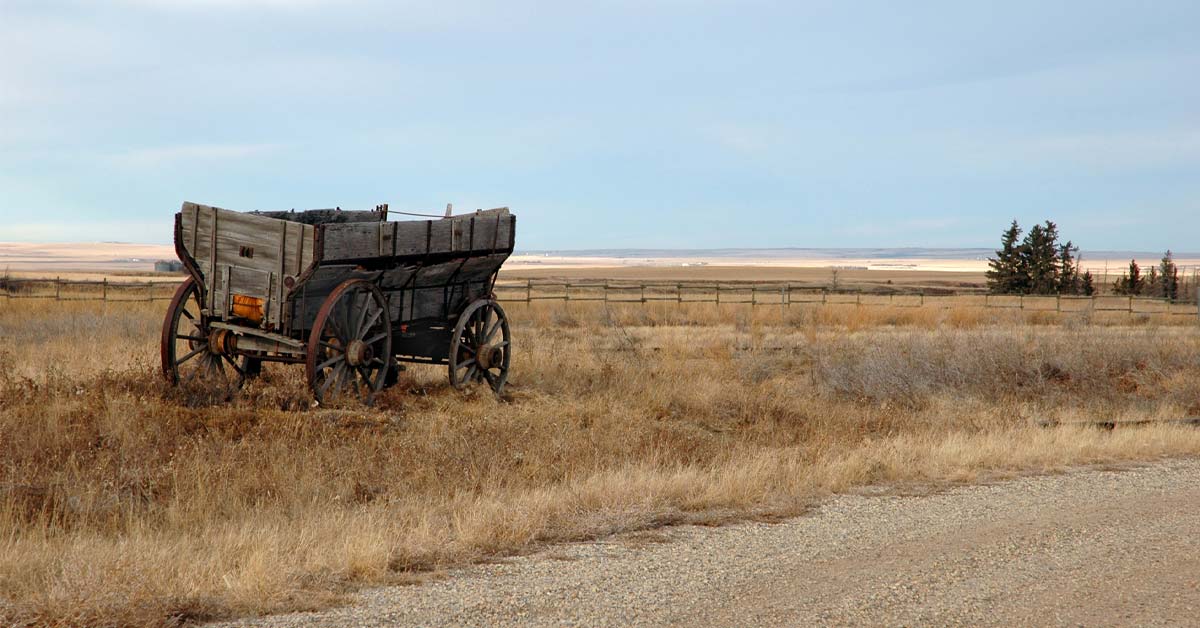 Alberta’s Most Curious Museums and Collections | AMA Travel