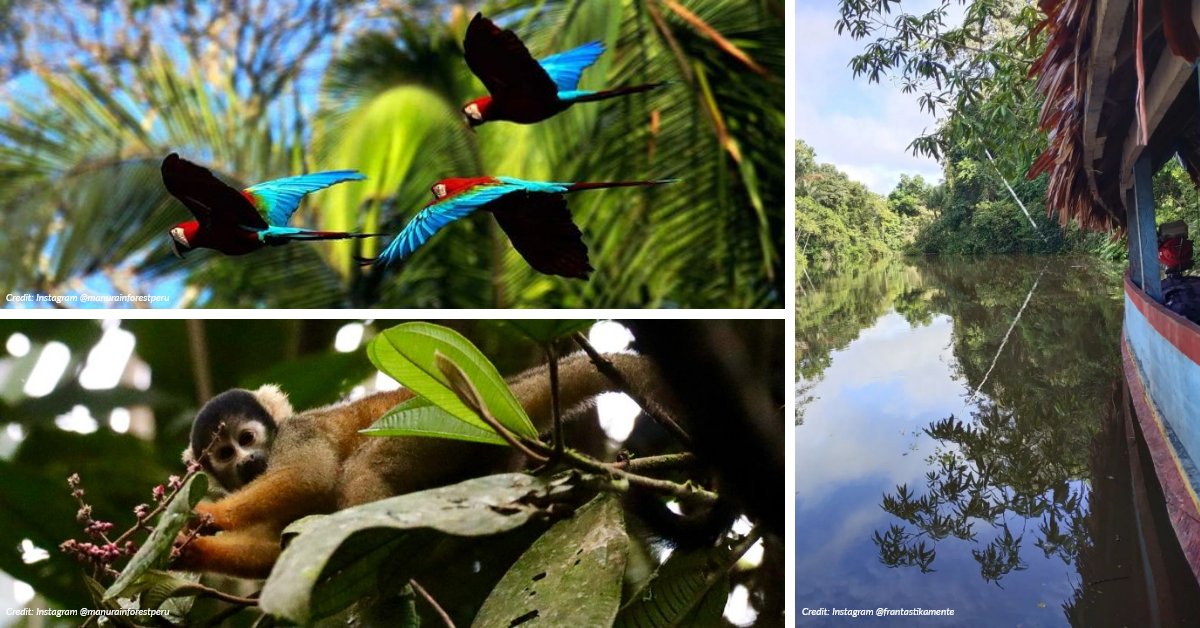 Our Beginners Guide to Peru AMA Travel