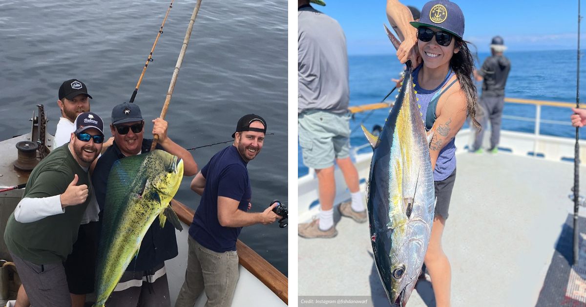 A Sports Enthusiast’s Guide to Anaheim AMA Travel