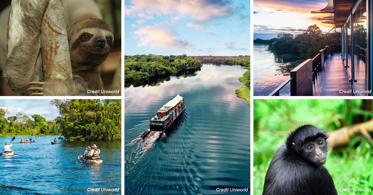 amazon river cruise wildlife